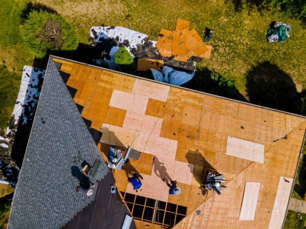 Best Gutter Installation and Roofing  in Prairie Grove, IL
